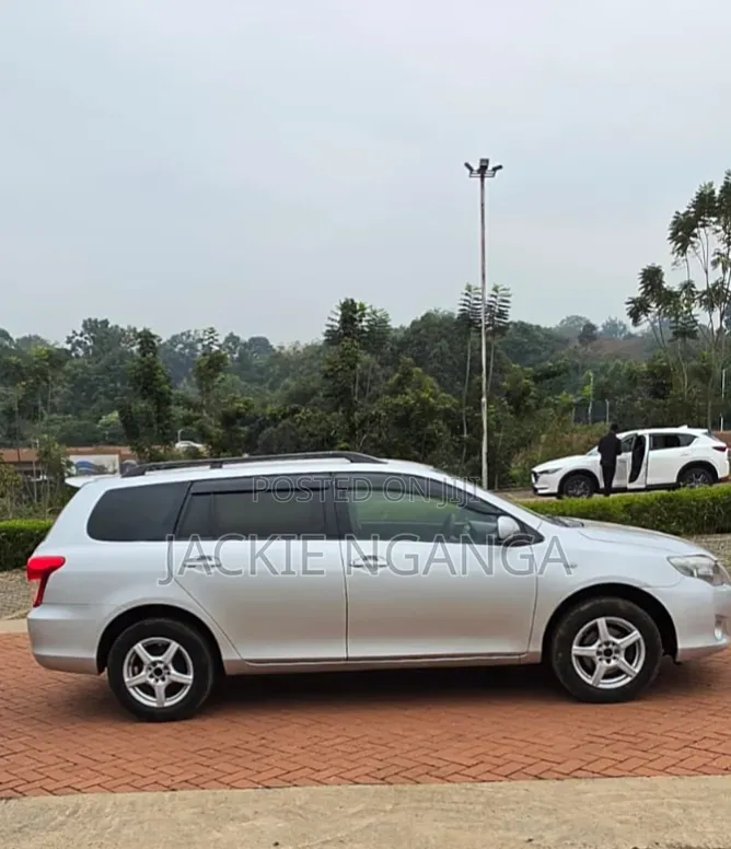 Toyota Corolla Fielder 2010 Silver