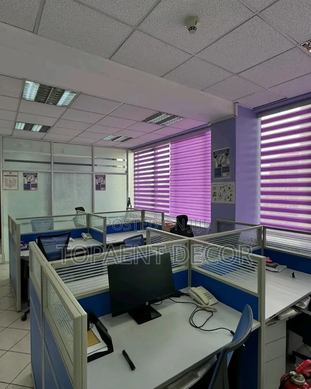 Purple Office Window Blinds Available