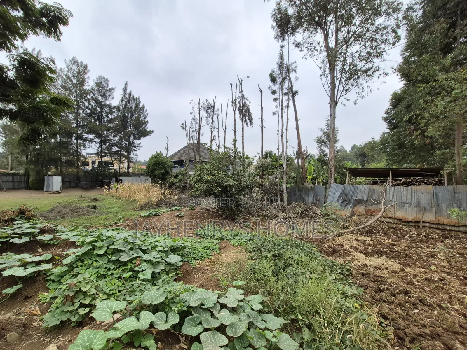 1/4 Acre Plot for Sale in Thome Estate at KSHS 20,000,000