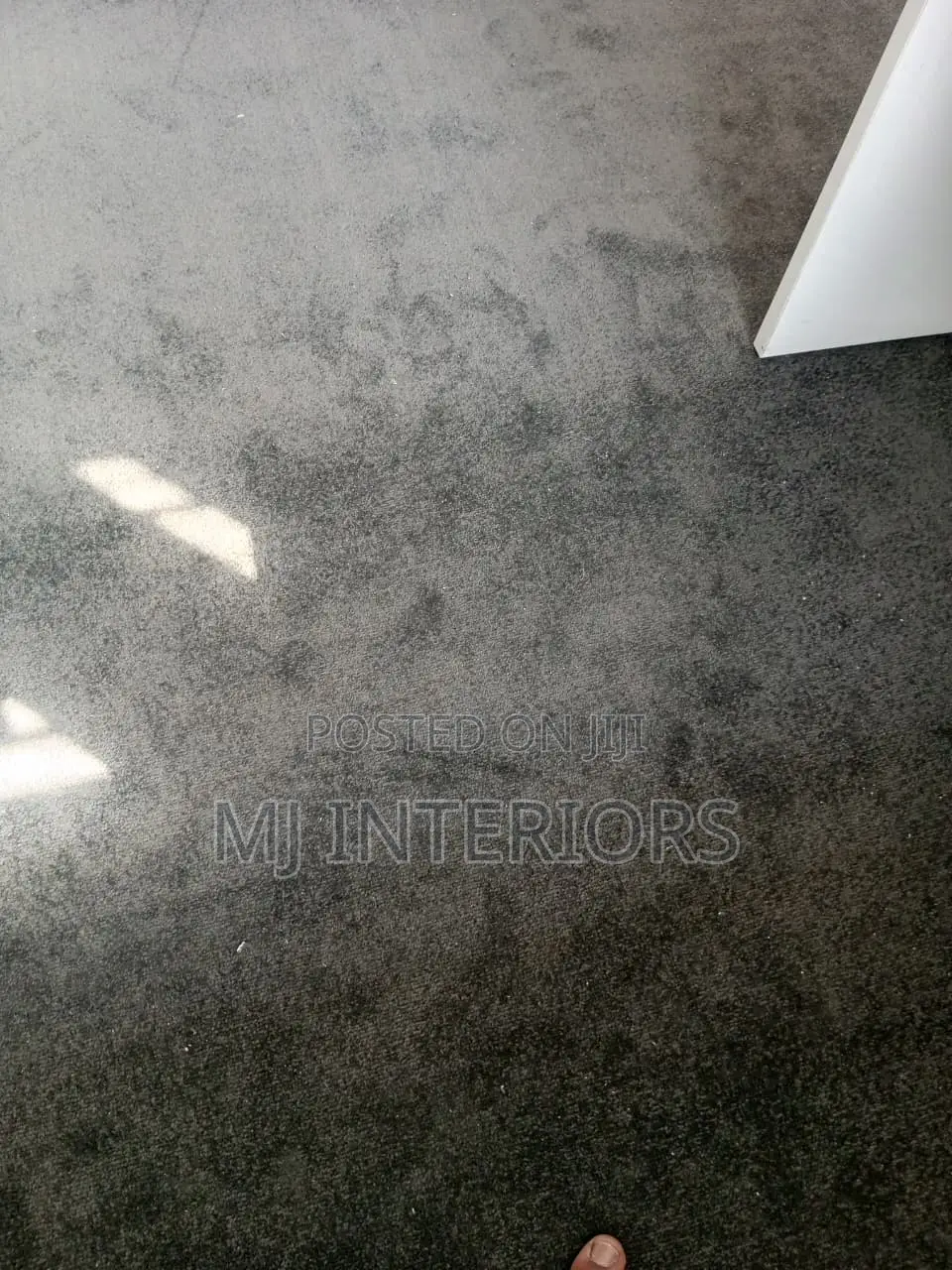 Grey VIP Carpet for Office Home Hotel Premium Quality Finish
