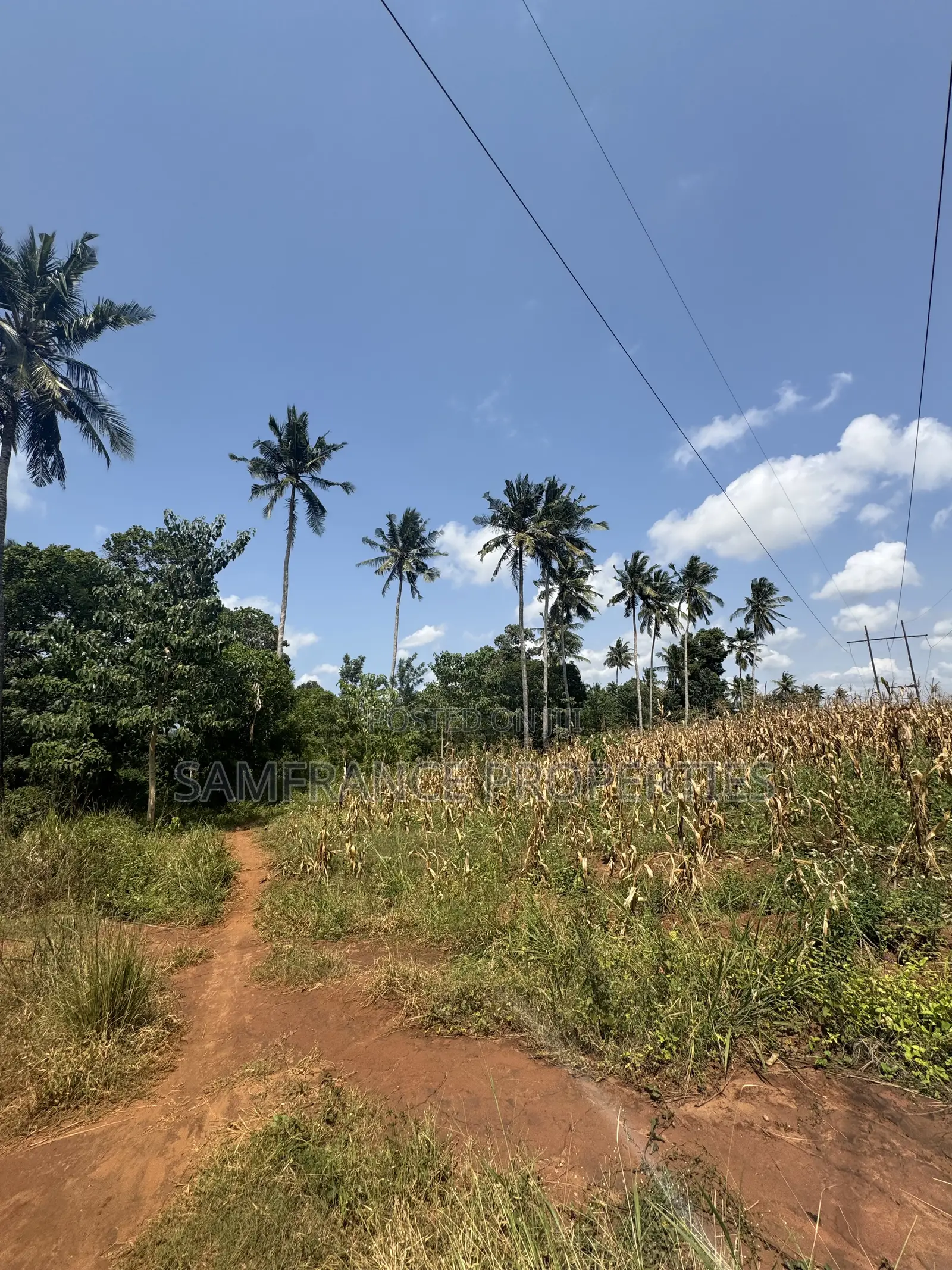 Affordable Plots for Sale Boman Kikambala