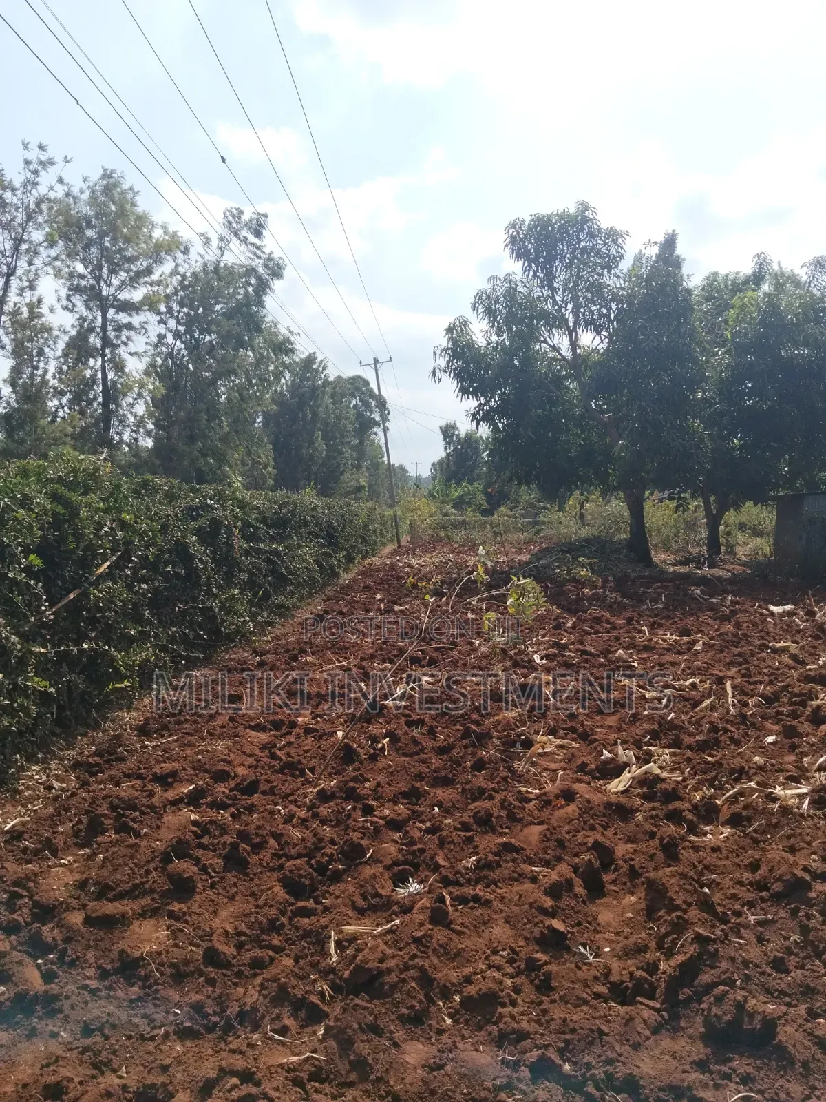 1 Acre on Sale at Gatanga.