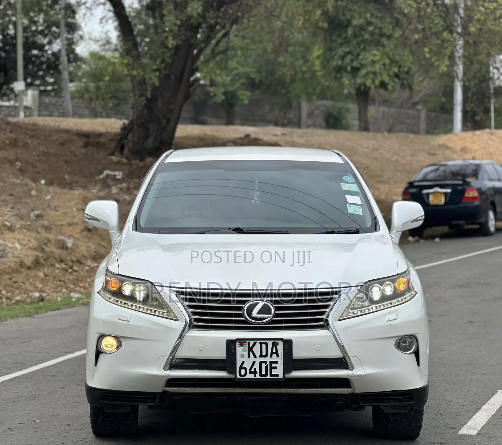 Lexus RX 2013 White