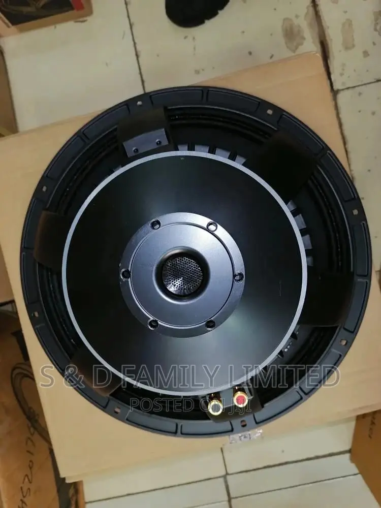 15 Inch Mid Heavy Bass Naked Speaker