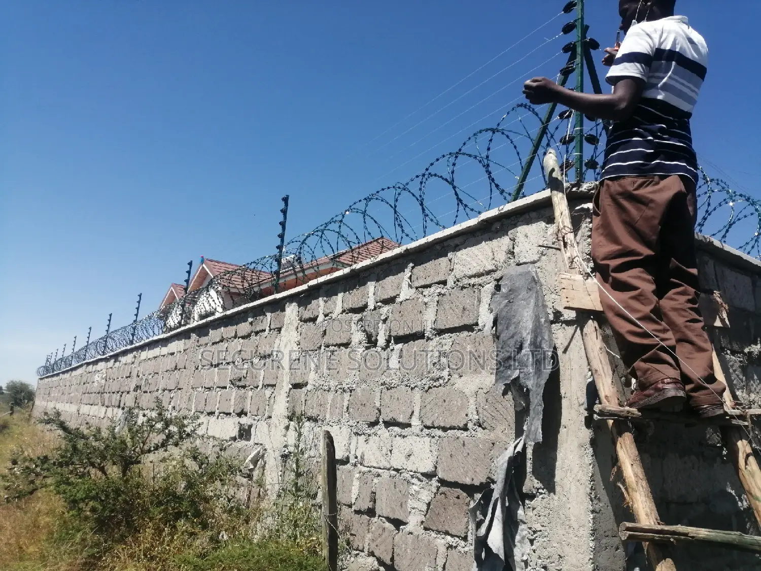 8M Double Galvanised Green Razor Wire