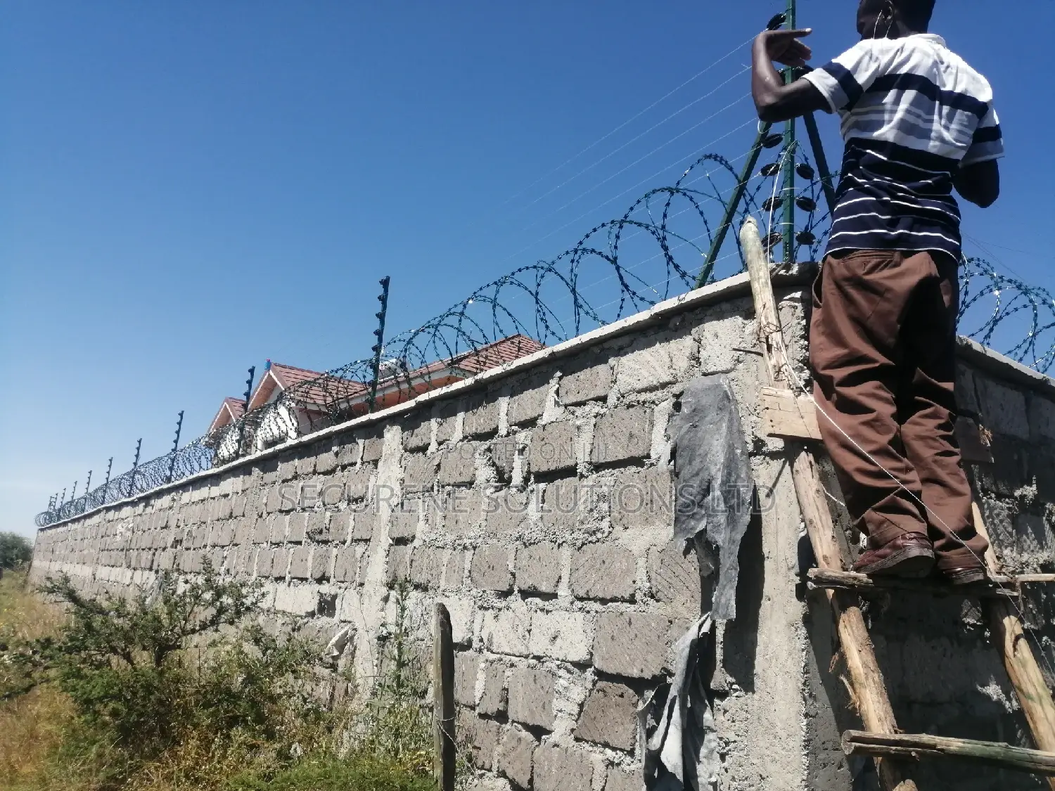 8M Double Galvanised Green Razor Wire