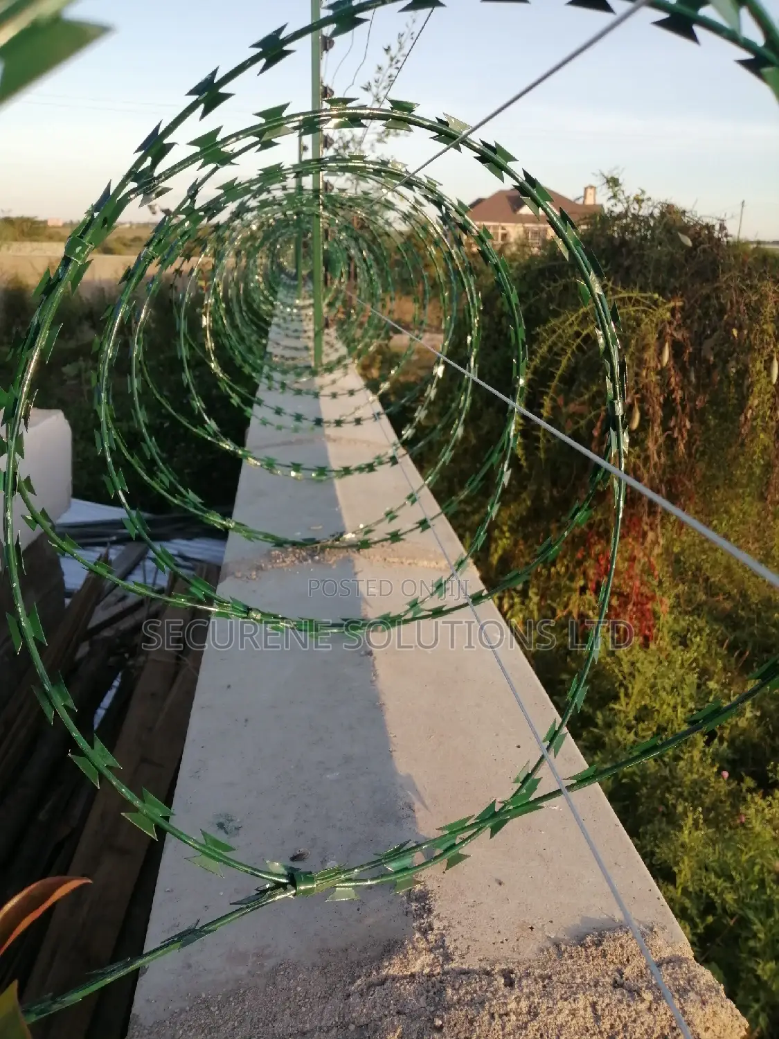 8M Double Galvanised Green Razor Wire