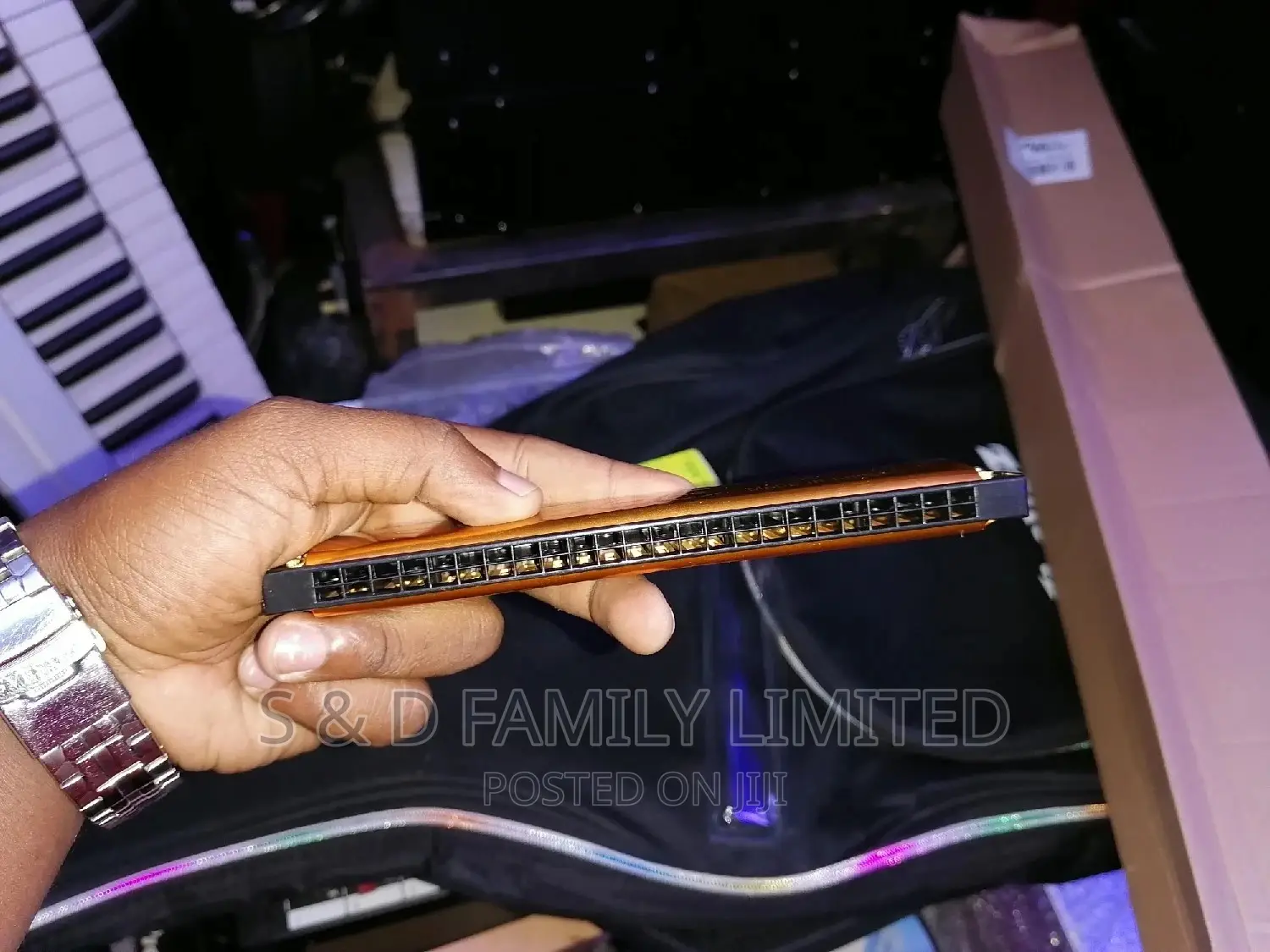 Harmonica 24 Holes