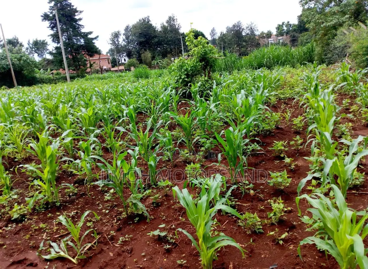 Land in New Kitisuru