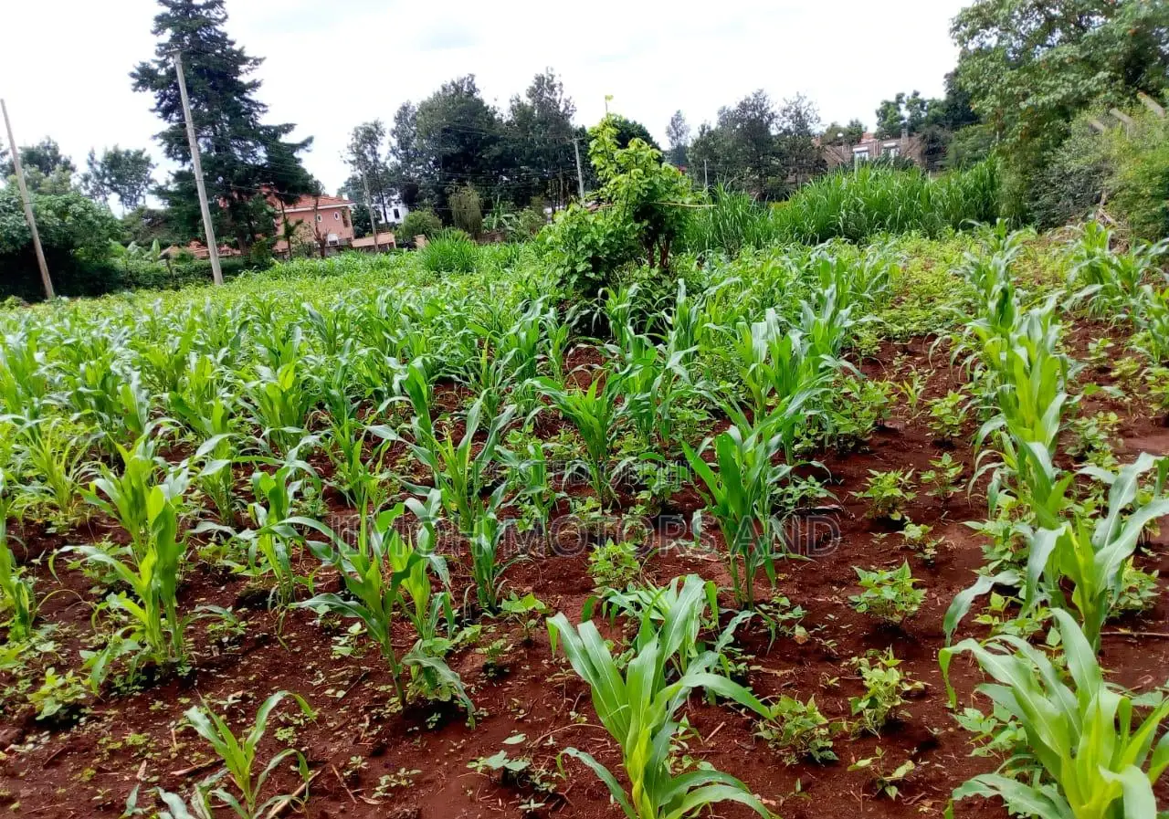 Land in New Kitisuru