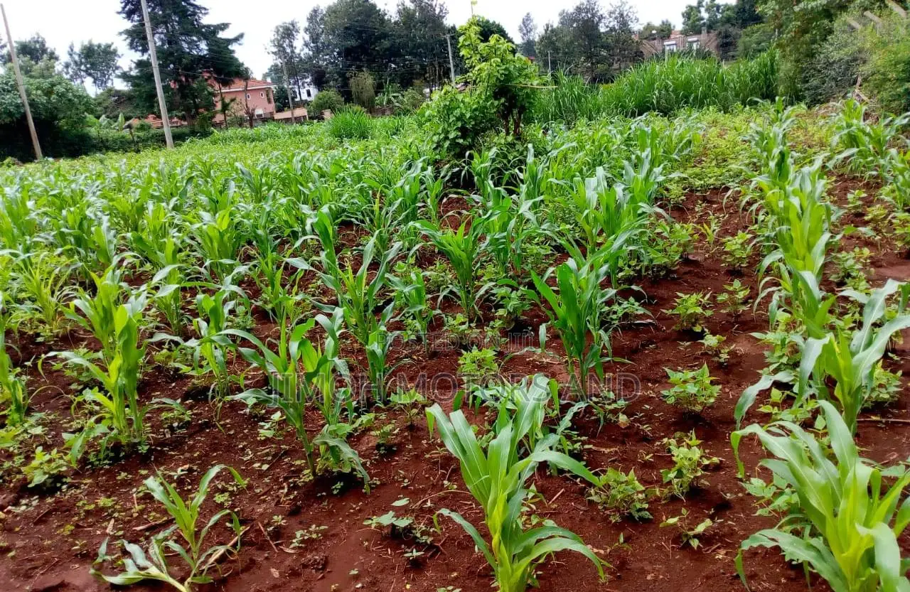 Land in New Kitisuru
