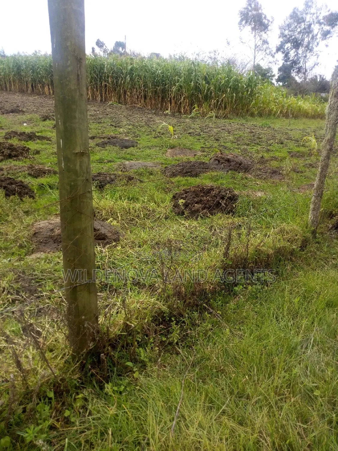 1acre on Sale at Ngarariga Kiambu