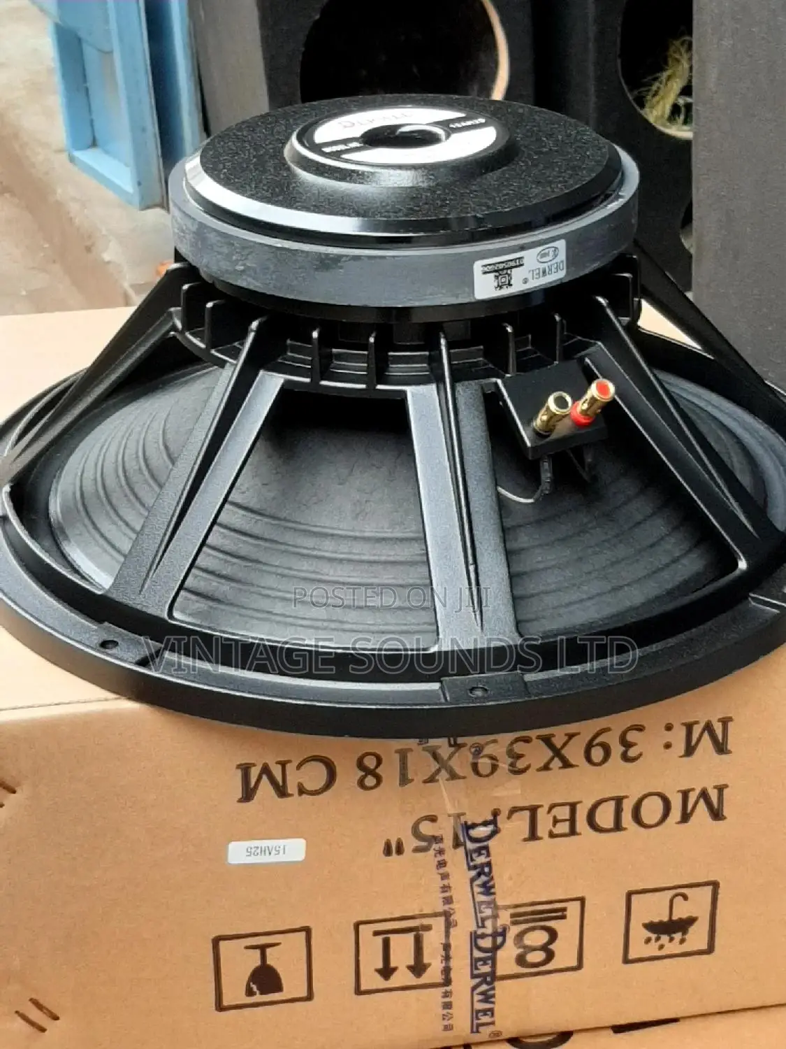 Derwel 15 Inches Long Range Speaker