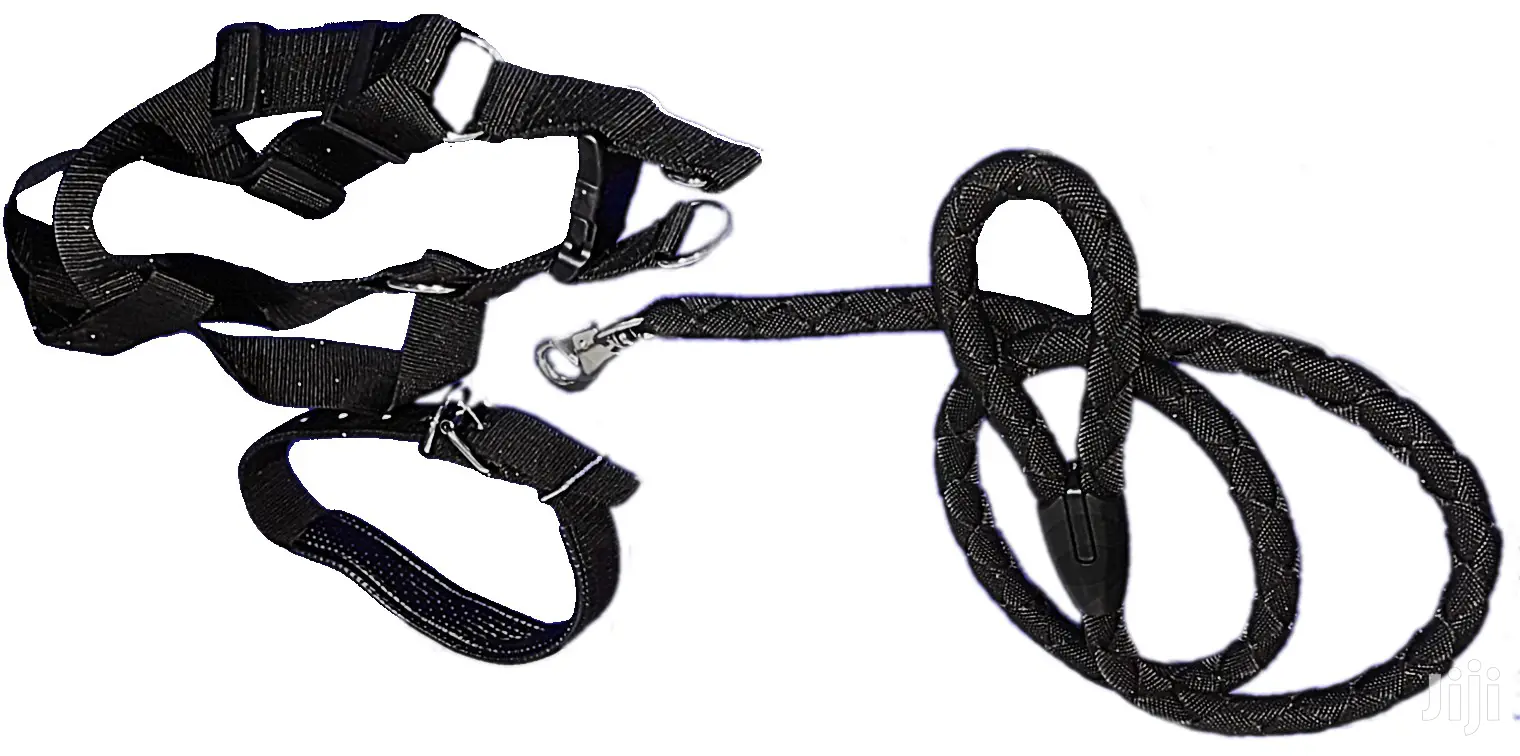 Dog Leash, Harness And Collar Set