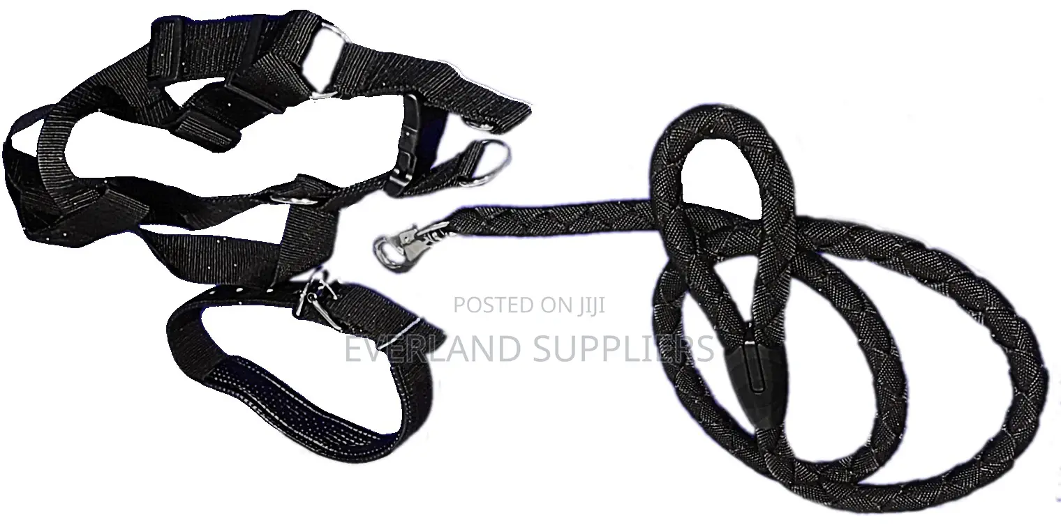 Dog Leash, Harness And Collar Set