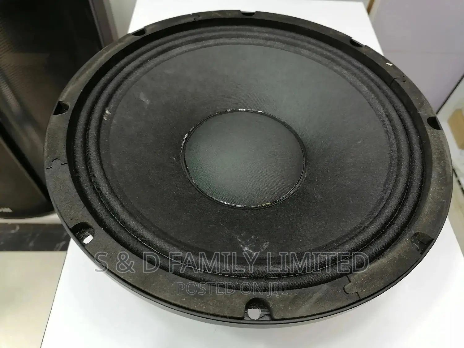 12 Inch Linearray Naked Speaker