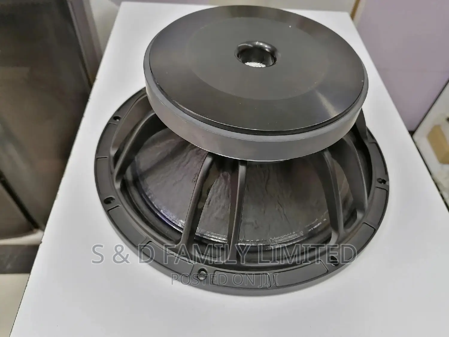 12 Inch Linearray Naked Speaker