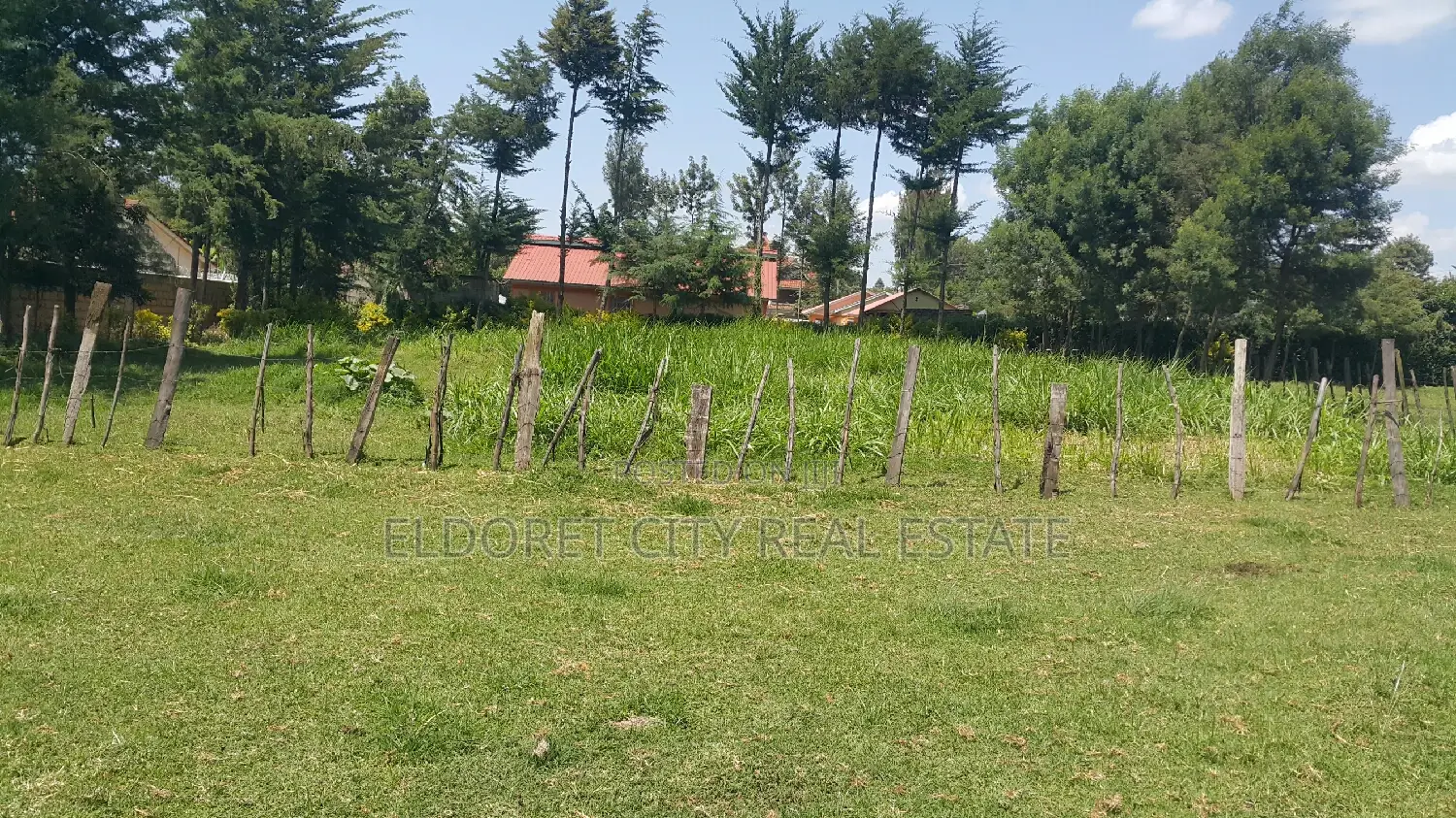 1/4 Plots at Annex Opposite School of Law