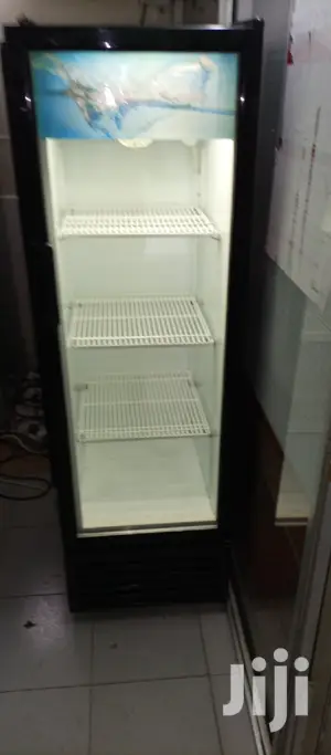Frigorex Fridge