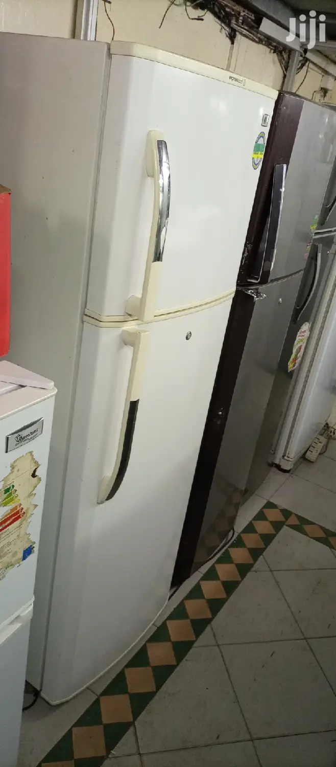 CFC Free Fridge