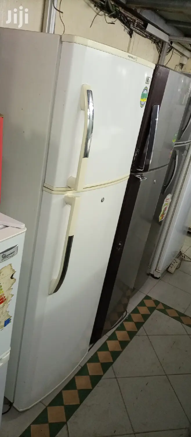 CFC Free Fridge