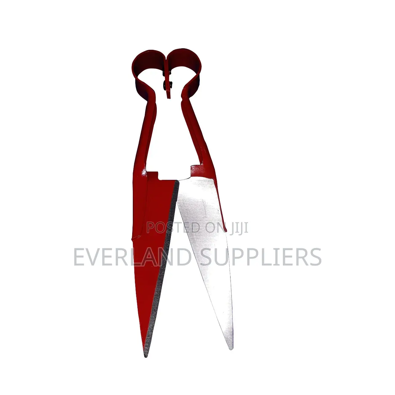 Sheep Wool Shears