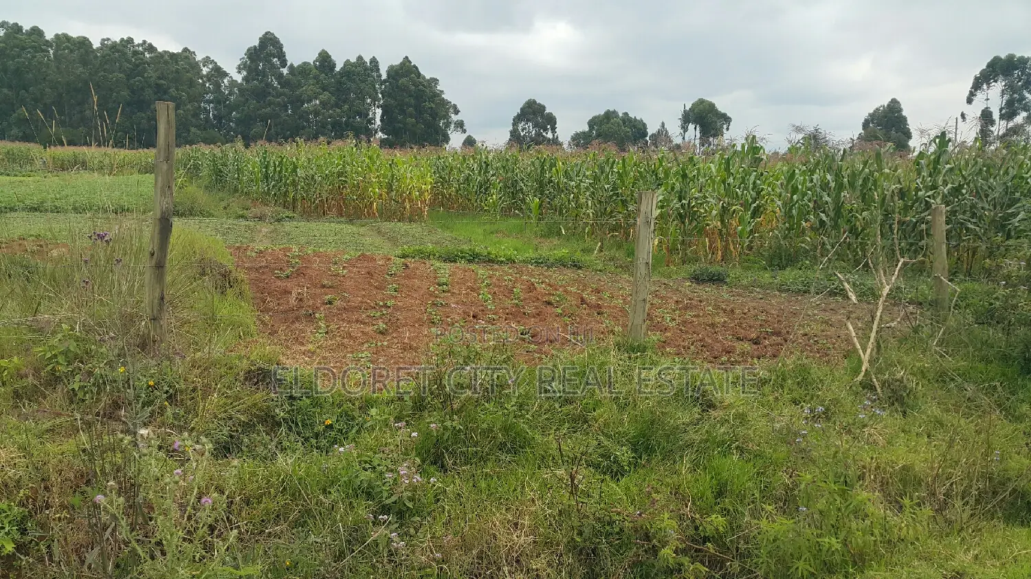 5 Acres Annex With Title Less Than 1km From Tarmac
