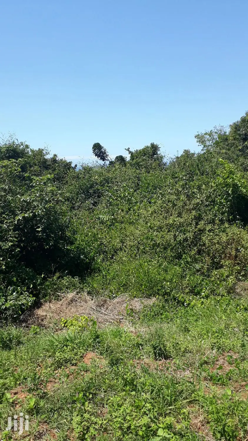For Sale 1 Acre Plot Vipingo Ridge