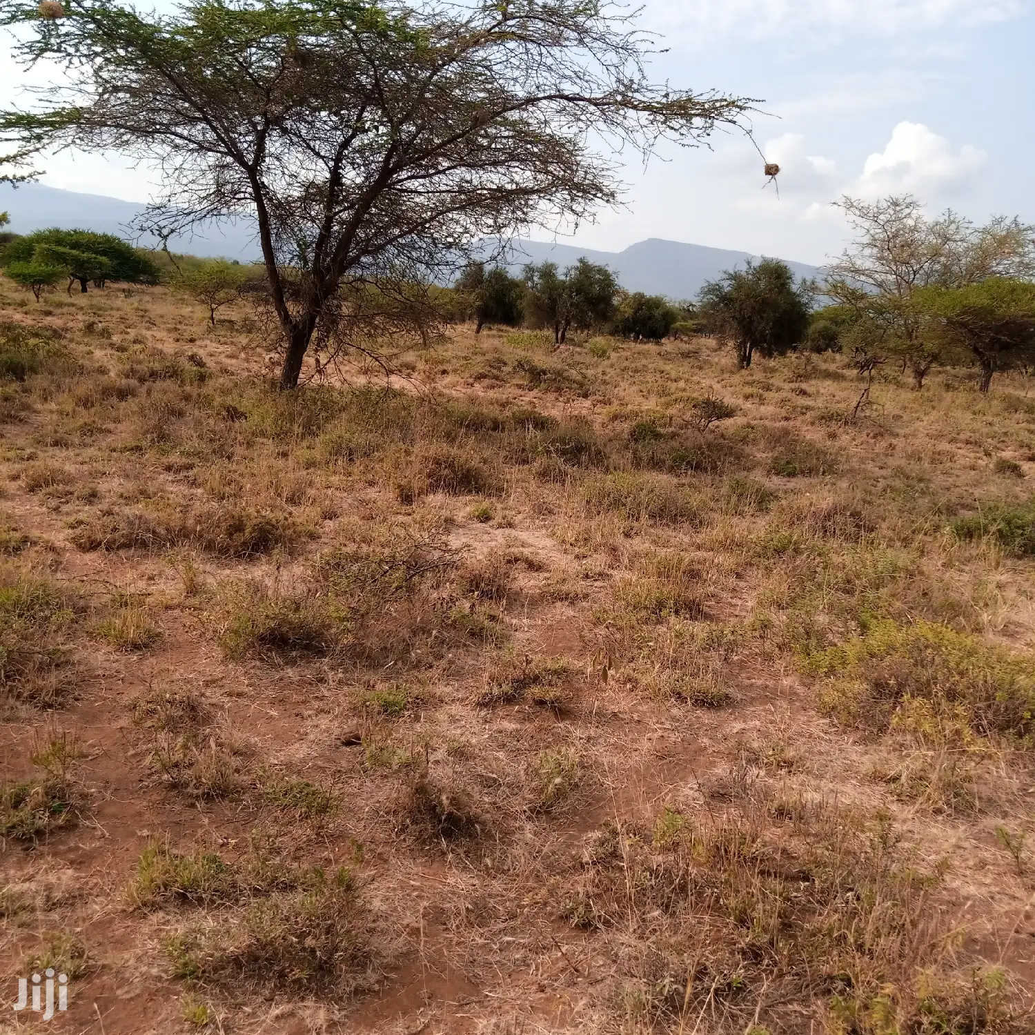 Prime 5 Acres Ewuaso Kedong at 850k