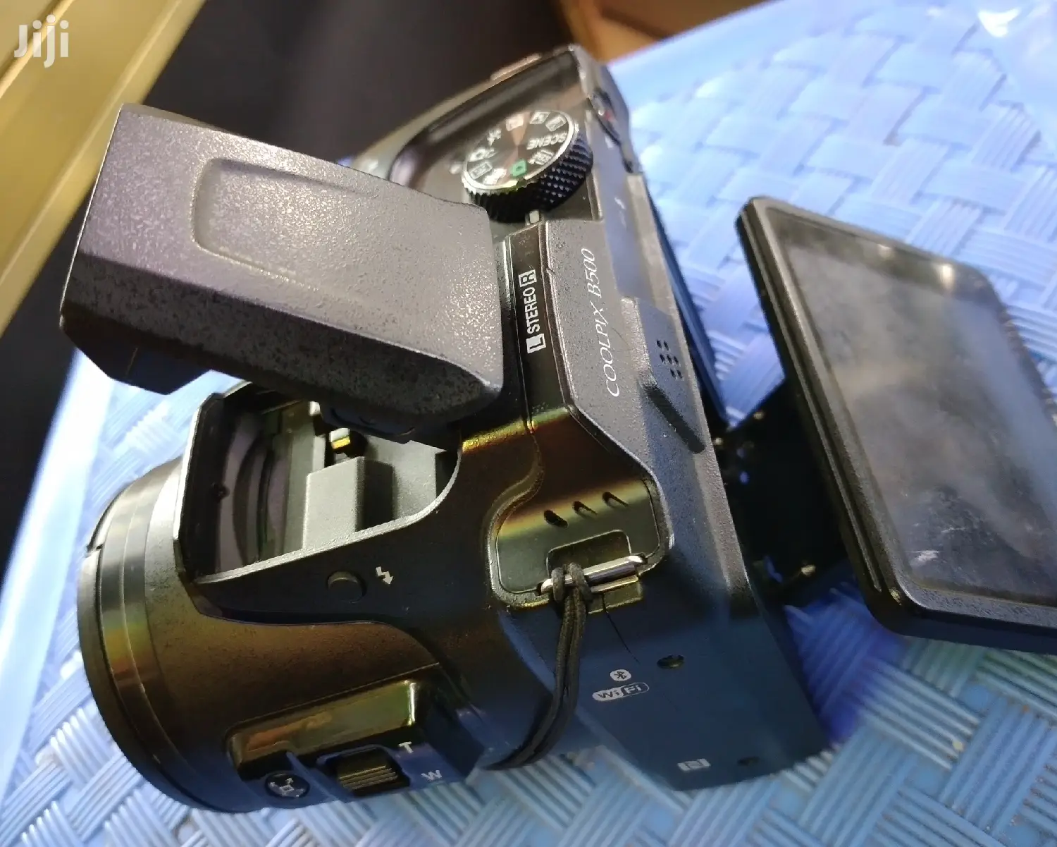 Nikon Bridging Camera