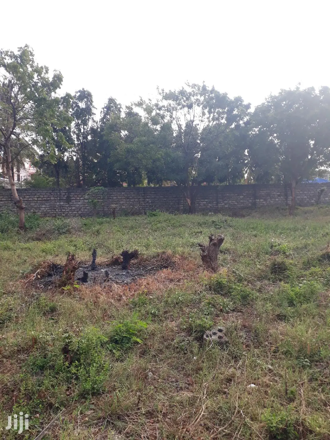 For Sale Half Acre Plots Nyali