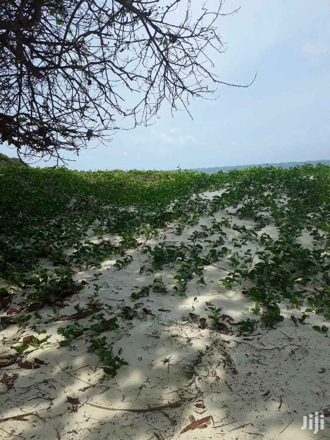 For Sale 1 Acre Beach Plot Nyali