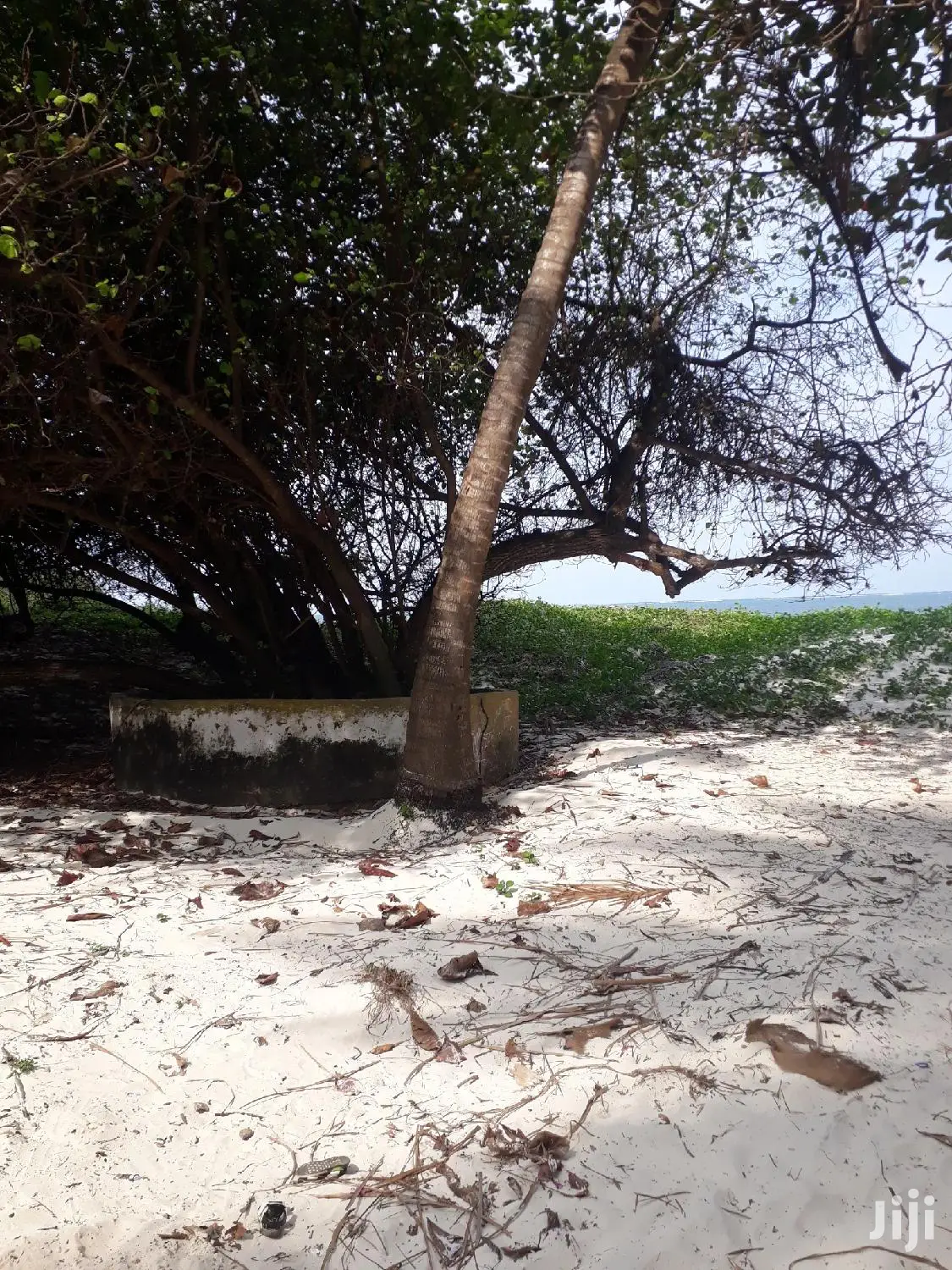 For Sale 1 Acre Beach Plot Nyali