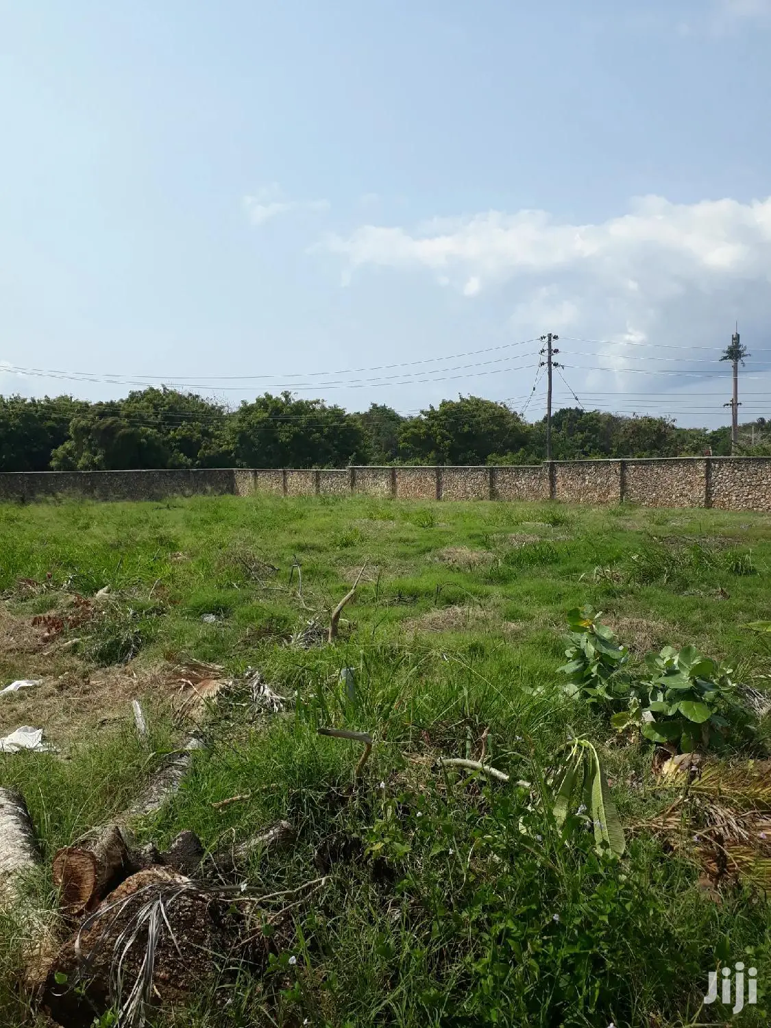 For Sale One Acre Shanzu