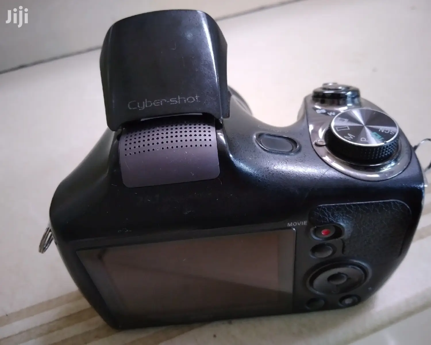 Sony DSC Camera