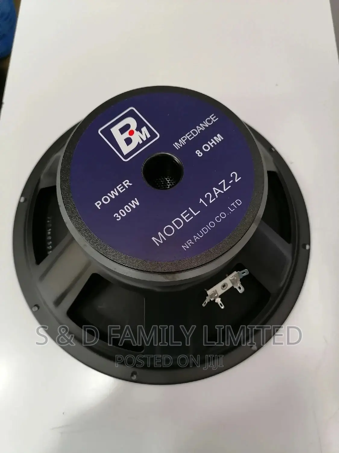 12 Inch Naked Speaker BM 12az-2
