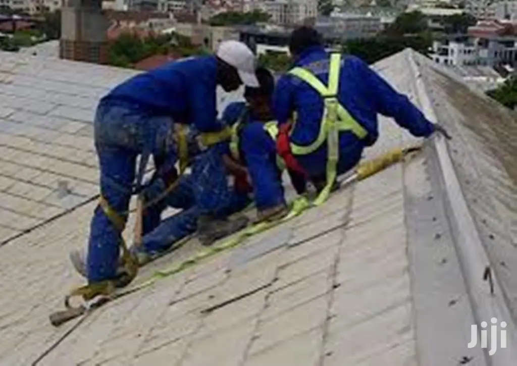 Painting Waterproofing Roof Specialist