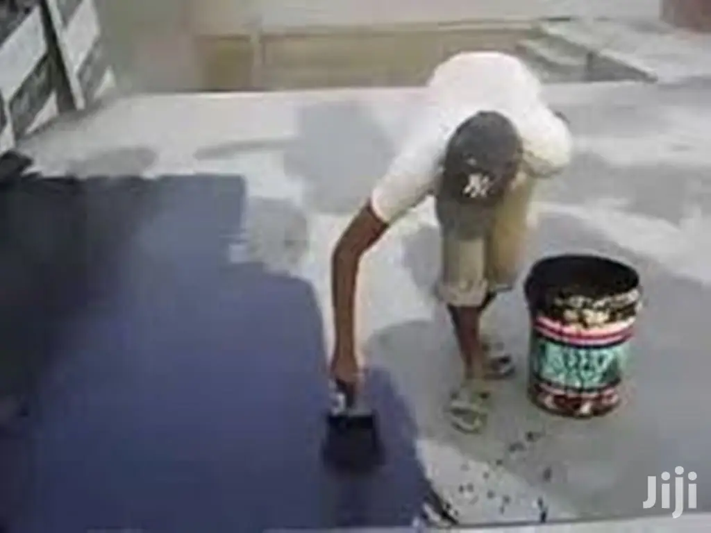 Painting Waterproofing Roof Specialist