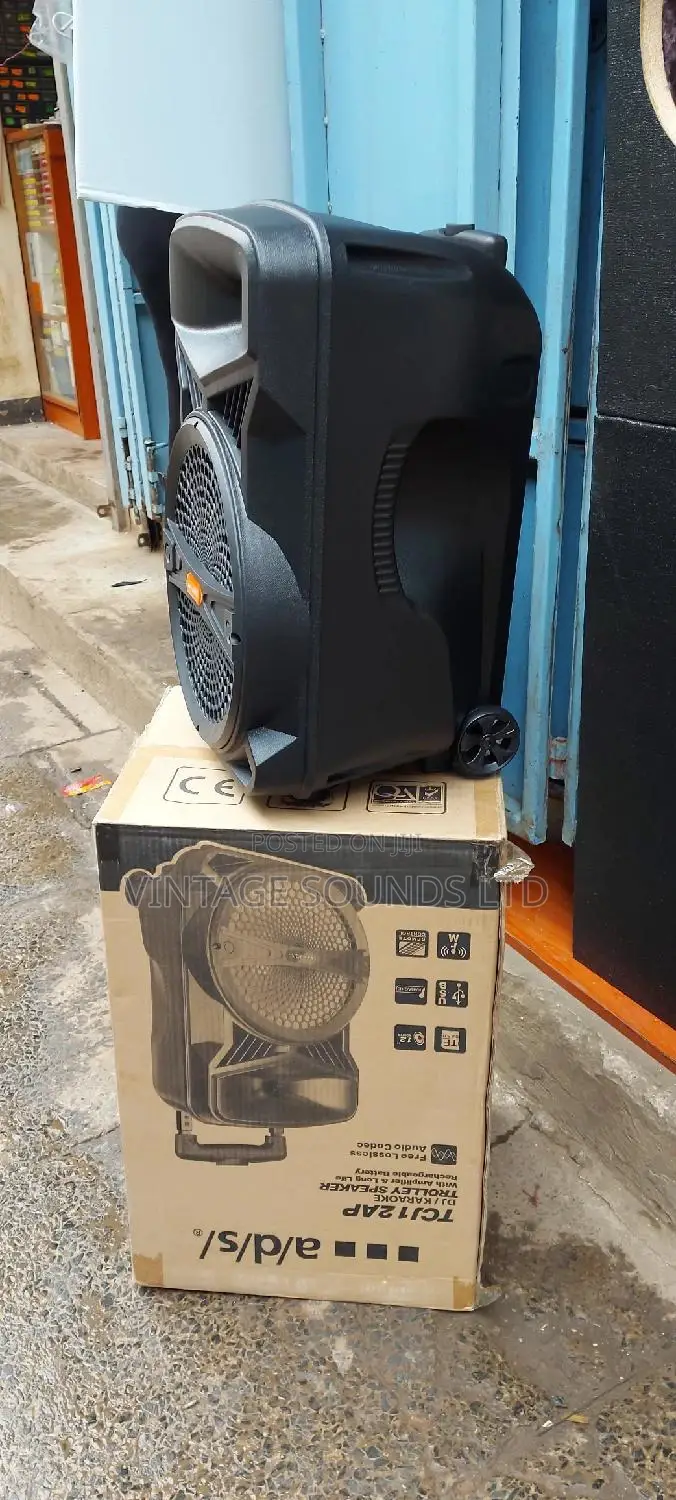 12 Inches Rechargeable Powered Portable Speakers