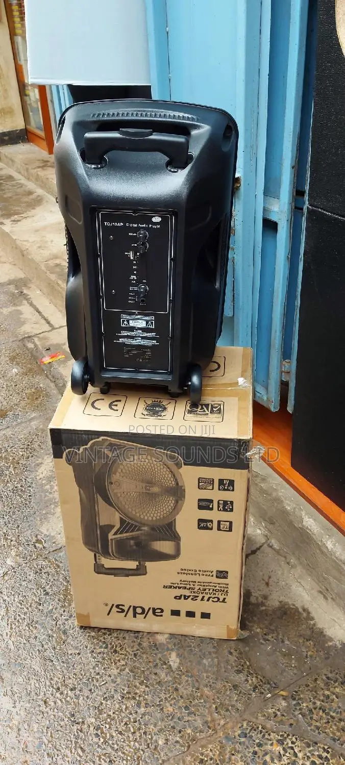 12 Inches Rechargeable Powered Portable Speakers