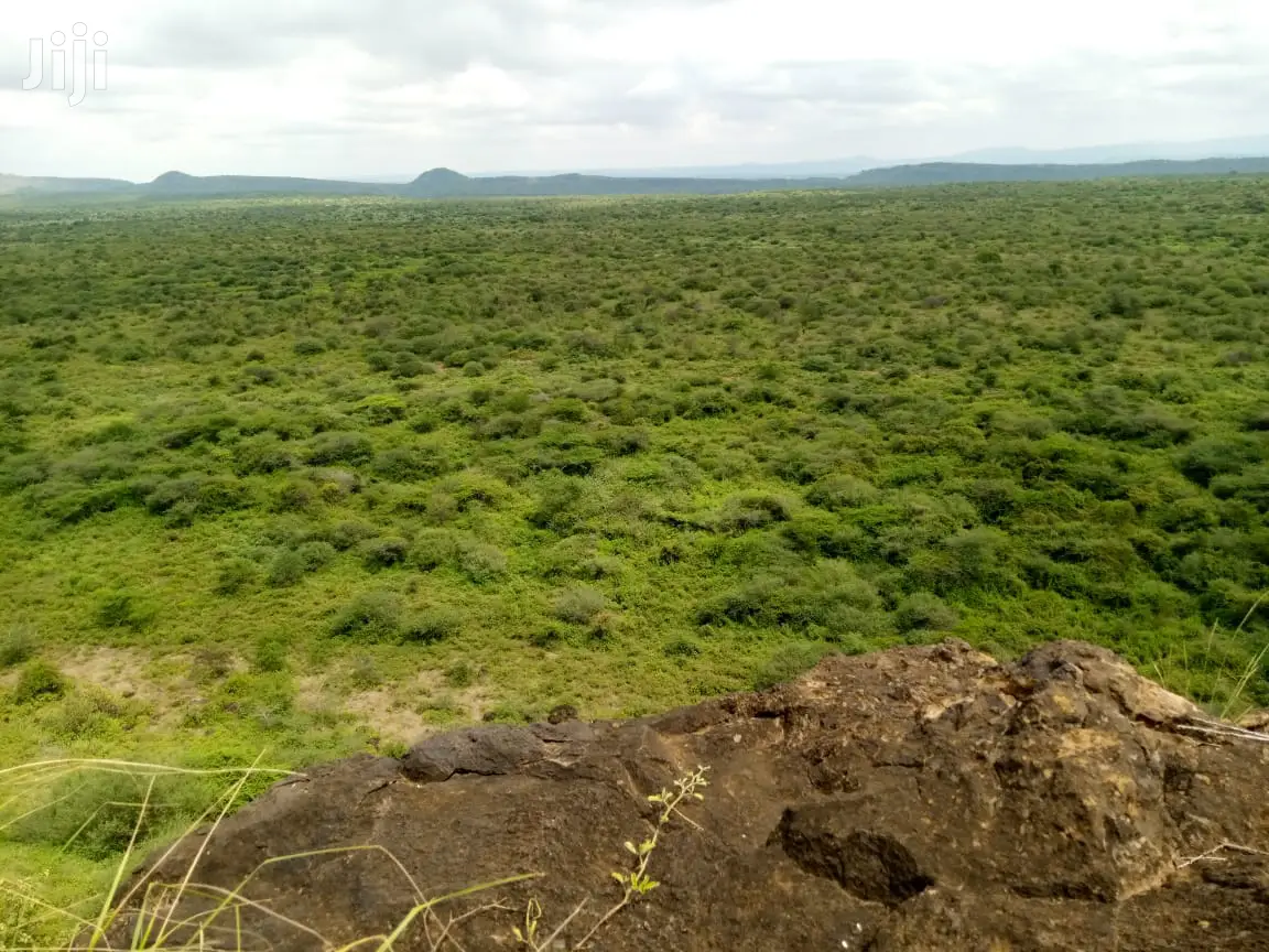50acres Farmland Ngoiyan