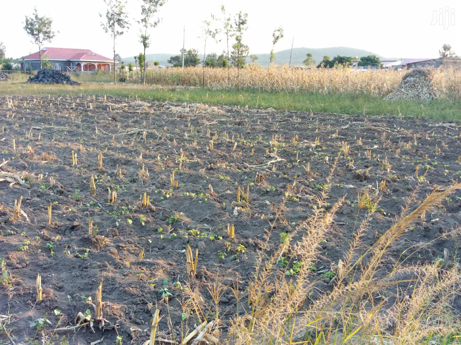 Plot for Sale in Pipeline Gorofa
