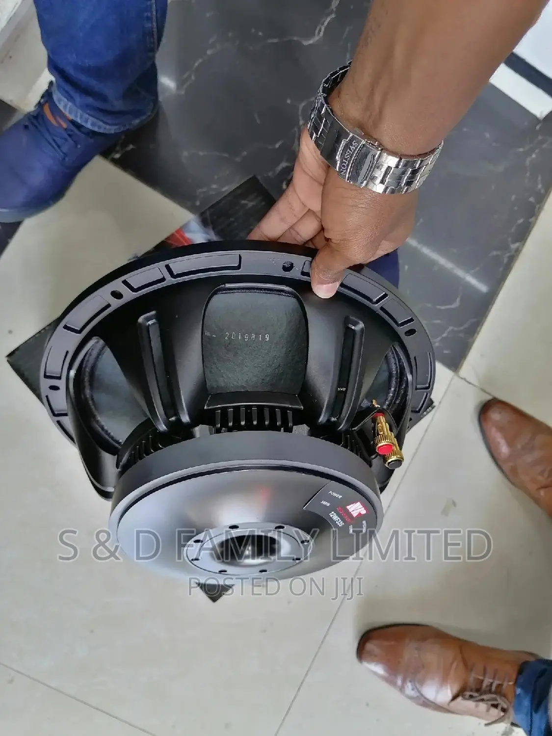 NR 12 Inch Naked Speaker