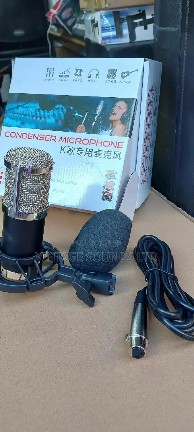 Bm 800 Studio Condenser Microphone