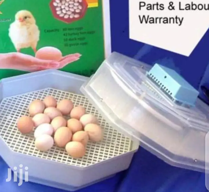 Unconditional 60 Egg Incubator