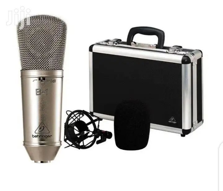 B1 Studio Condenser Microphone