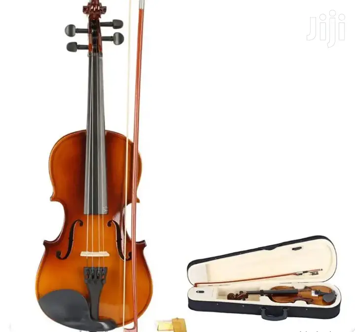 Stentor Violin