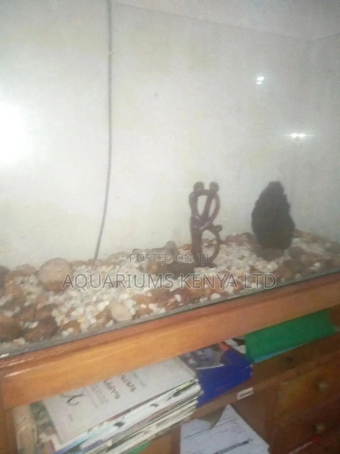 Aquariums Custom Made Available
