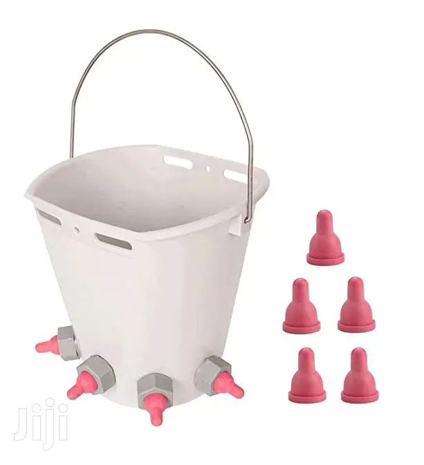 Calf Milk Feeding Bucket With Teats