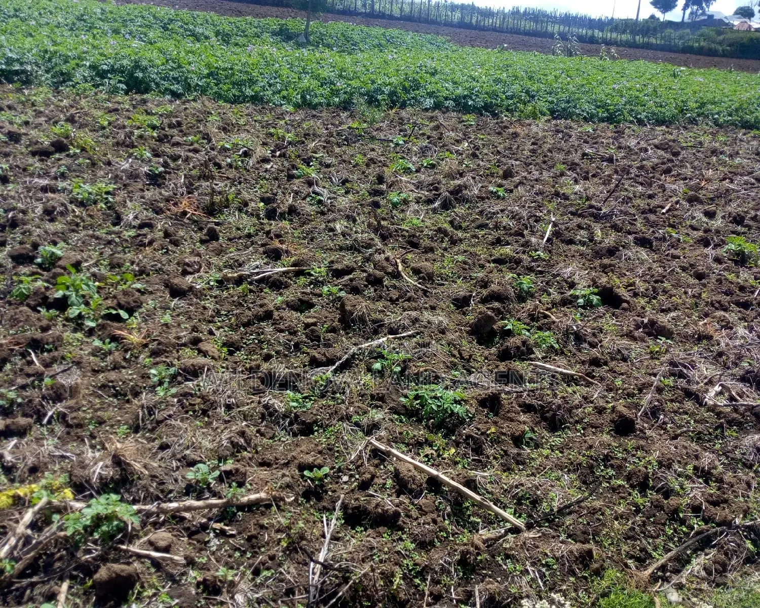 A Plot on Sale at Ihindu Naivasha